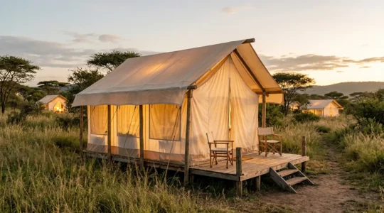 Safari tent canvas walls in natural outdoor setting showing material translucency and proximity between accommodations