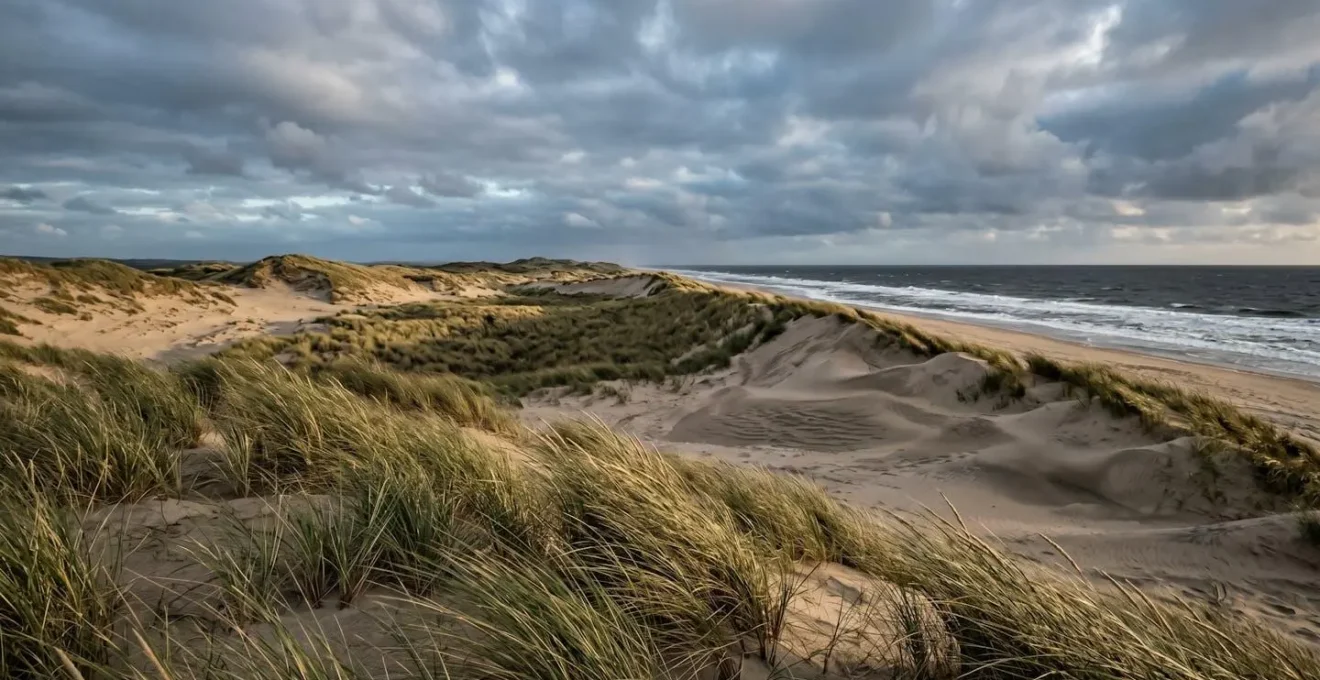 Wide coastal landscape showing natural sand dune formations with wind patterns and ocean backdrop